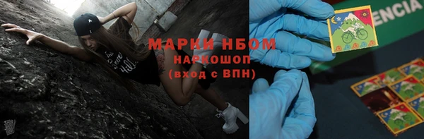 шишки Абинск
