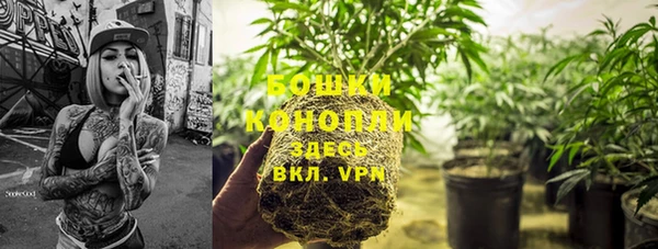 трава Алзамай
